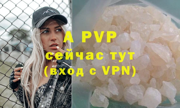эйфоретик Магас