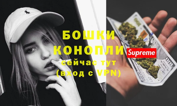 эйфоретик Магас